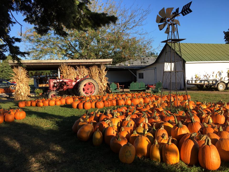 Mcglasson Farms - Cincinnati Pumpkin Patches