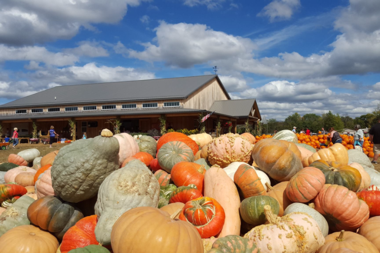 Blooms and Berries Farm Market