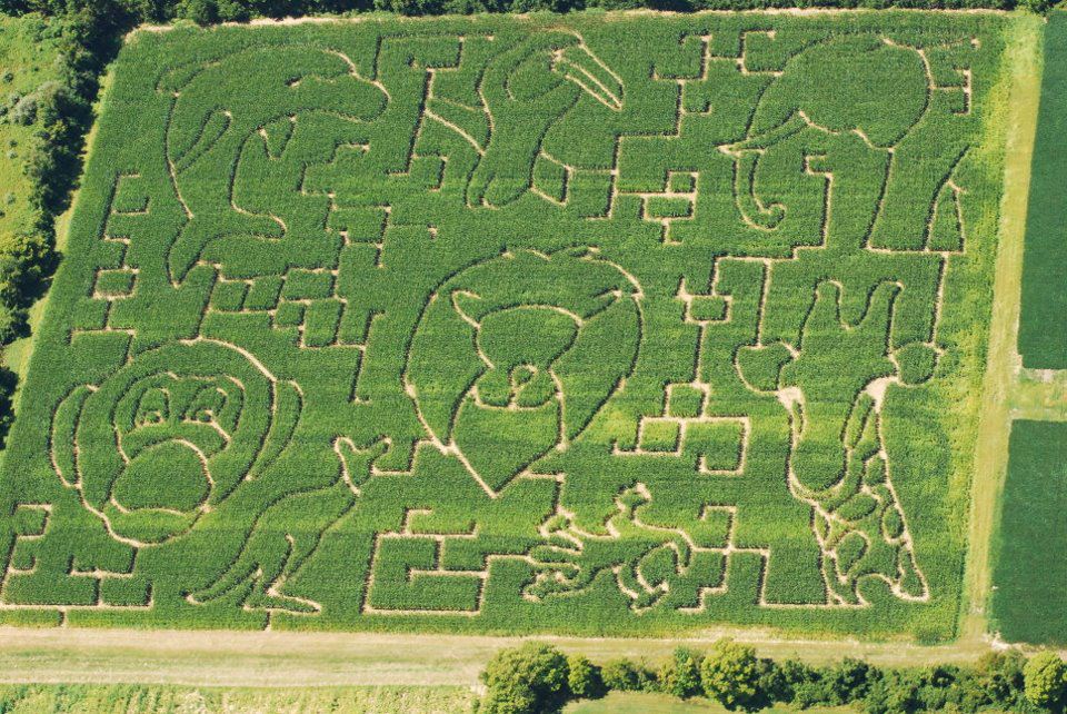 Irons Fruit Farm