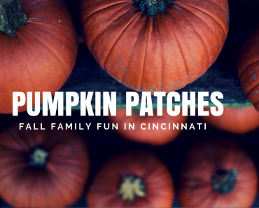 Cincinnati Pumpkin Patches