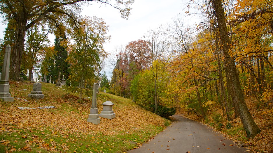 Spring Grove Cemetery and Arboretum 
