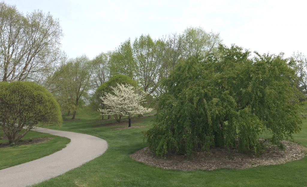 Boone County Arboretum